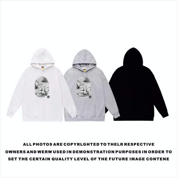 Picture of Bape Hoodies _SKUBapeS-2XLscqx8311359